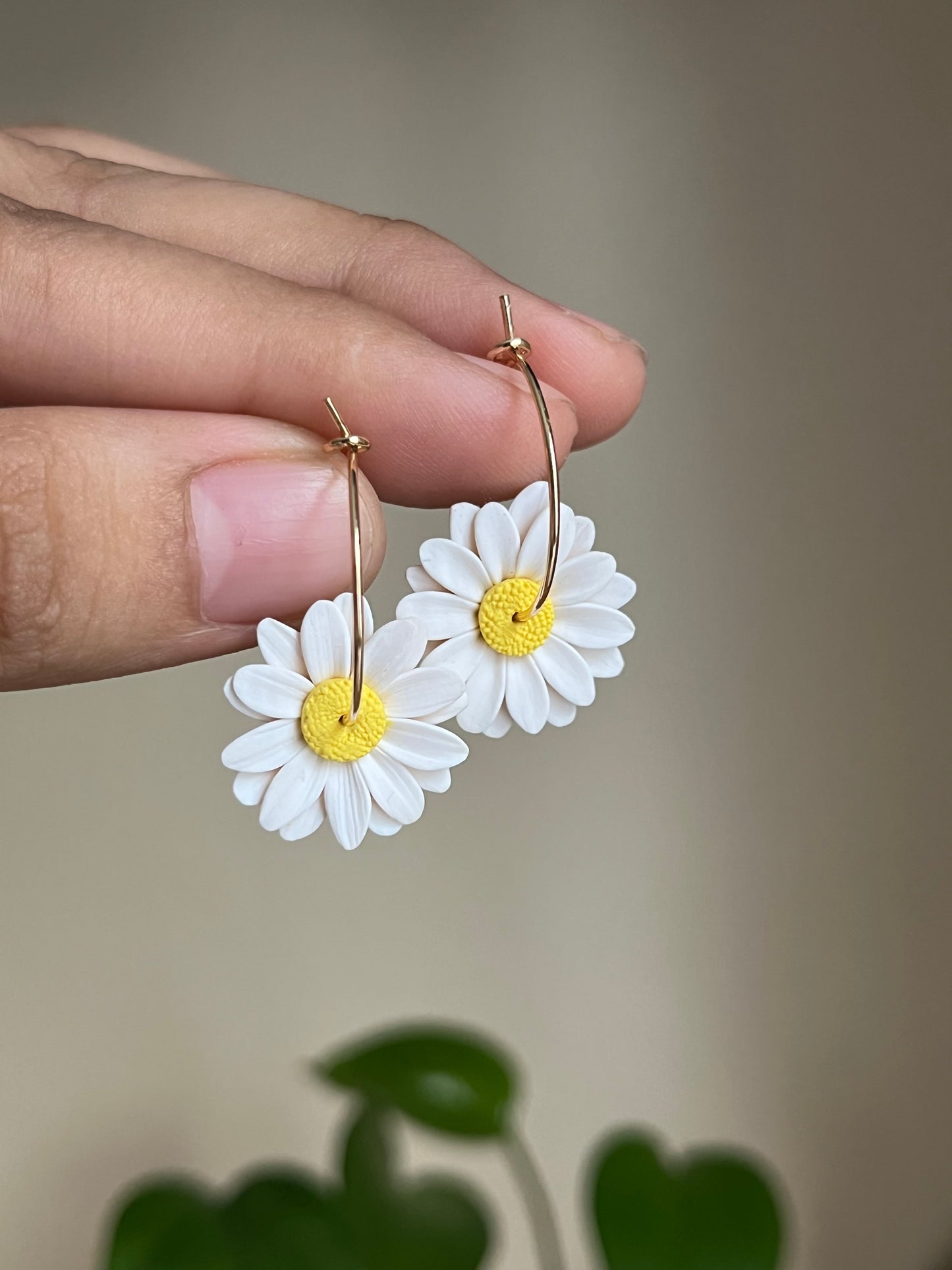 DAISIES HOOP