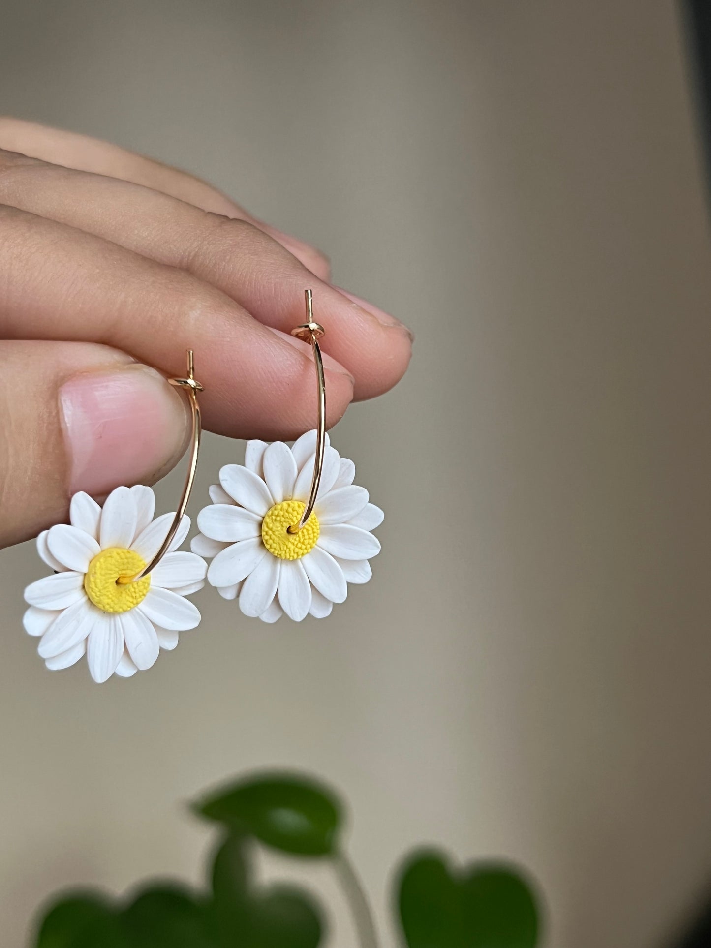 DAISIES HOOP