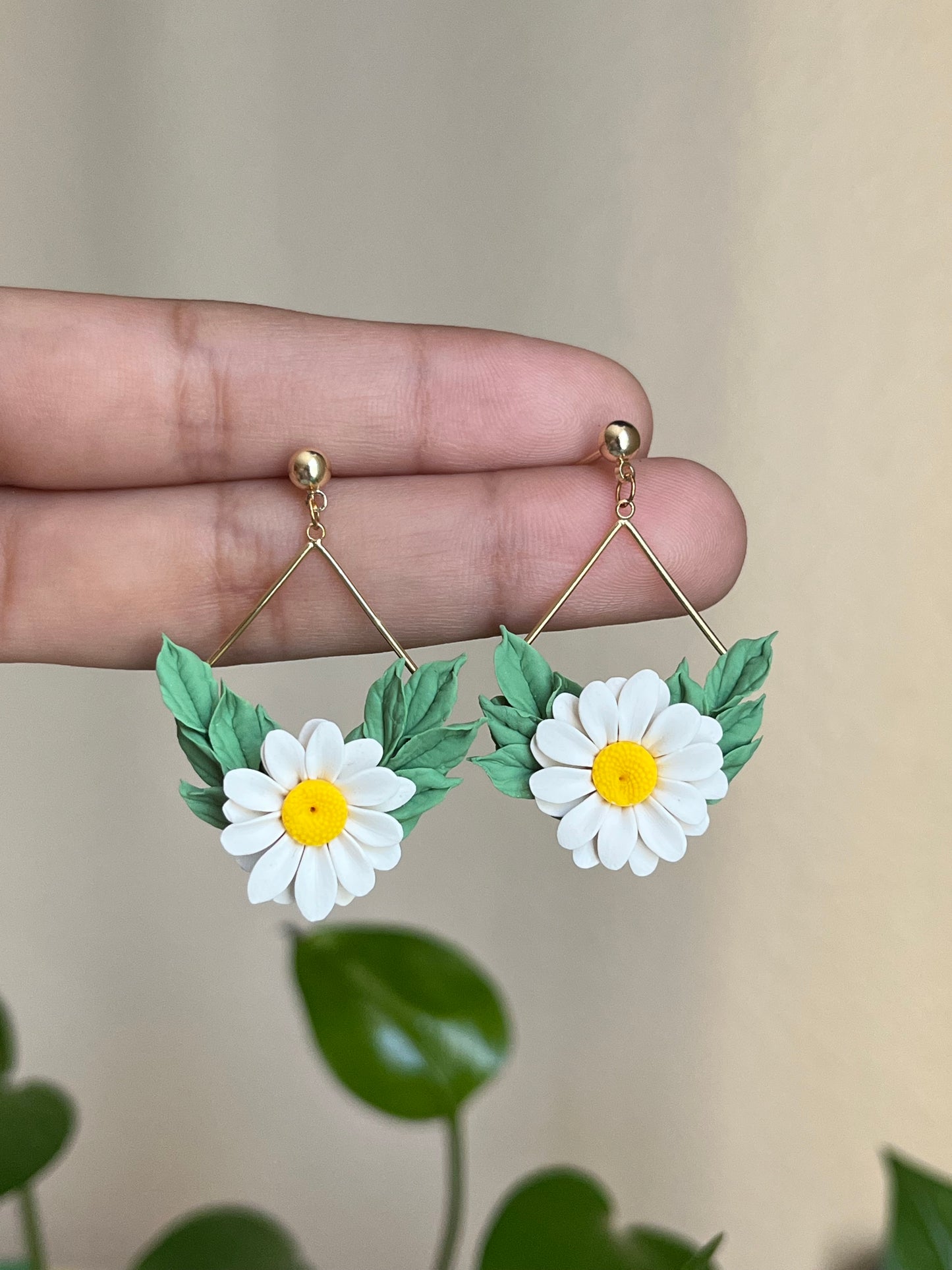 DAISIES DROP